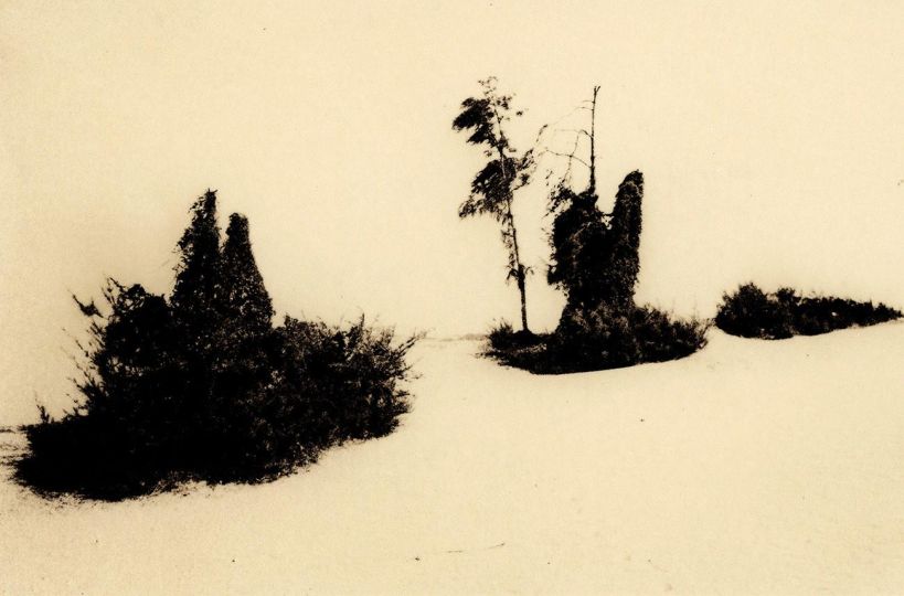 Mīrārī - Andrei Fărcășanu © Courtesy of the artist and Mind’s Eye / Galerie Adrian Bondy