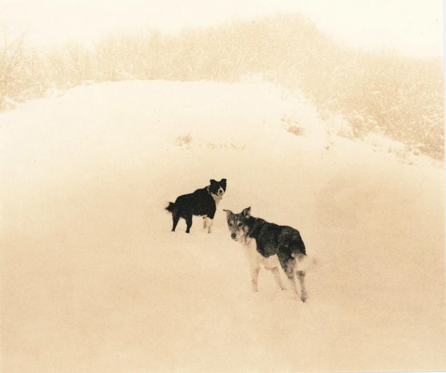 Mīrārī - Andrei Fărcășanu © Courtesy of the artist and Mind’s Eye / Galerie Adrian Bondy