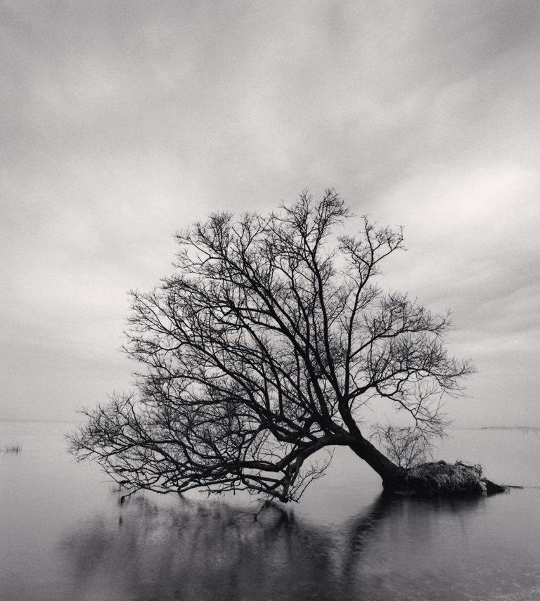 Asia House : Michael Kenna : Japan / A Love Story