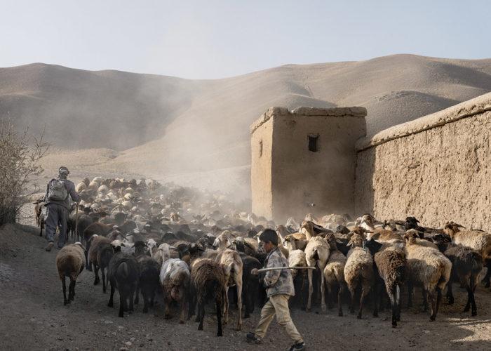 Académie des beaux-arts : Olivier Jobard : Our Afghan family, memories of a life blown away