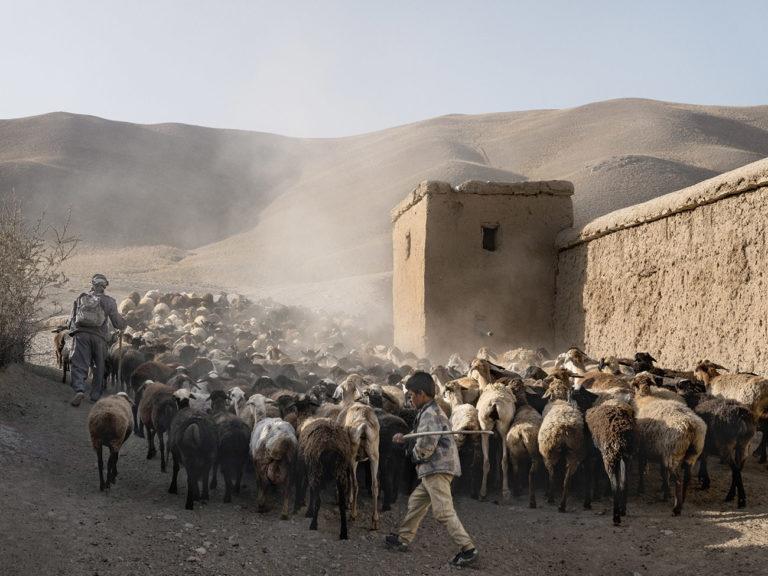 Académie des beaux-arts : Olivier Jobard : Notre famille afghane, souvenirs d’une vie envolée