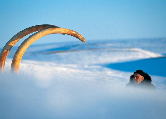 Château de Gien : Francis Latreille : Mammoth Hunters