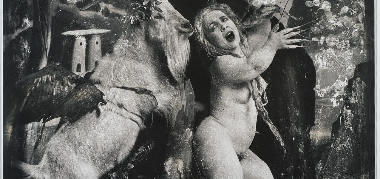 Galerie Parallax : Joel-Peter Witkin : Désagréable beauté