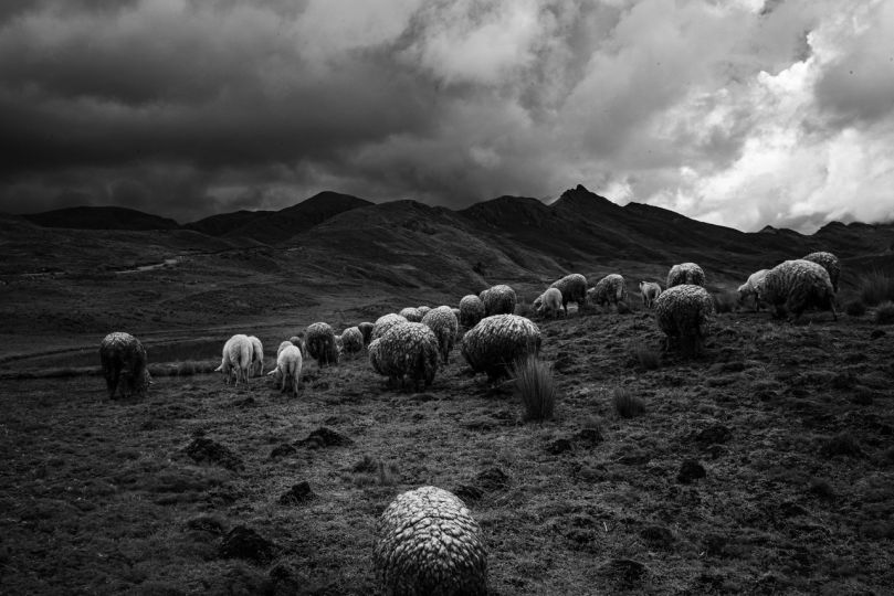 © Giordano Simoncini