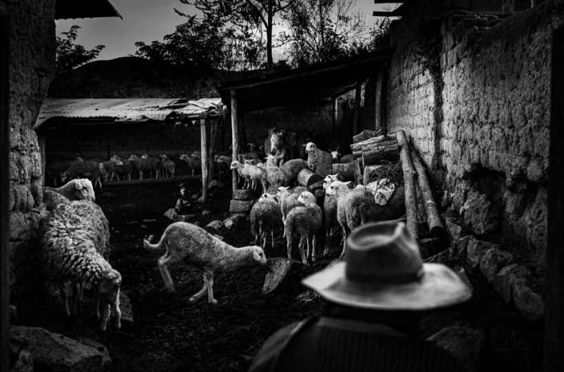 © Giordano Simoncini