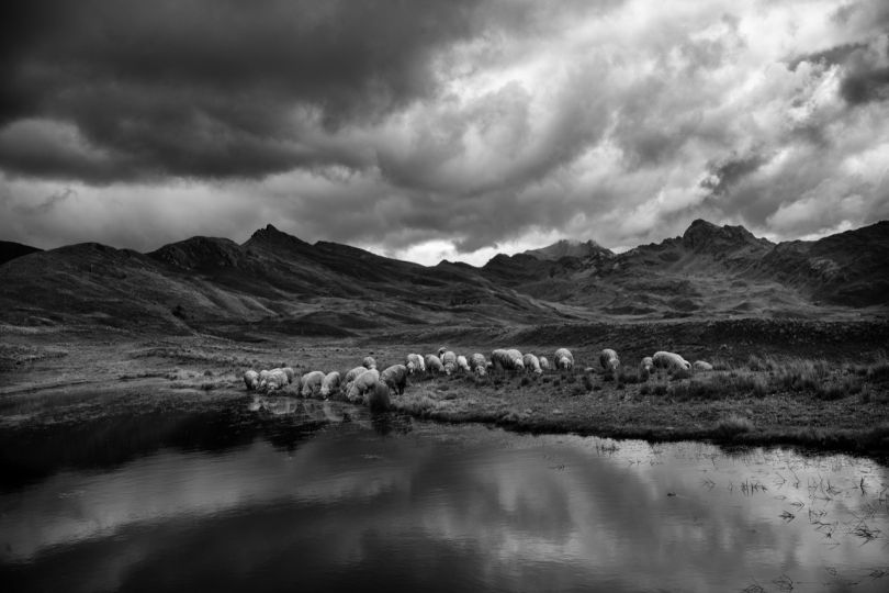 © Giordano Simoncini