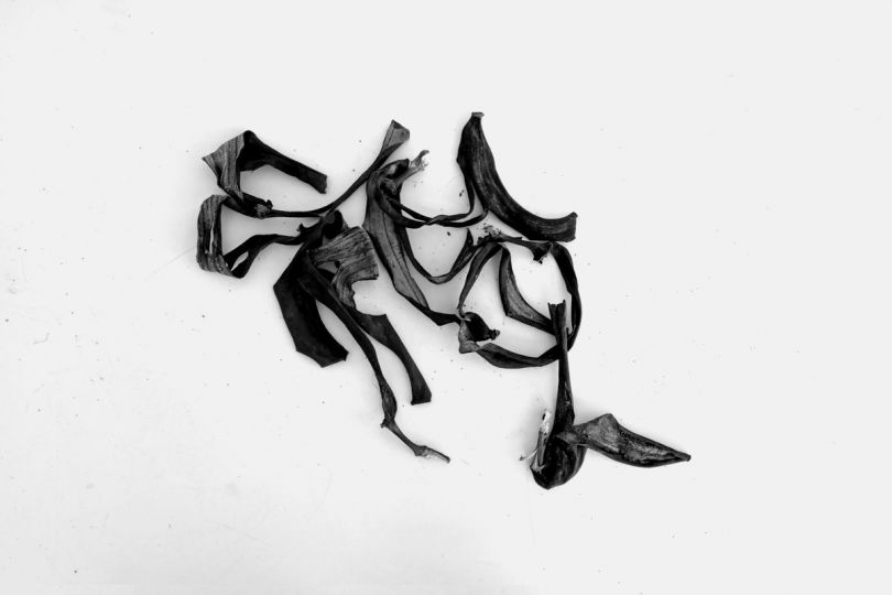 © Alexis Vasilikos