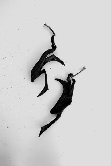 © Alexis Vasilikos