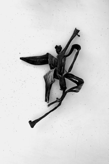 © Alexis Vasilikos