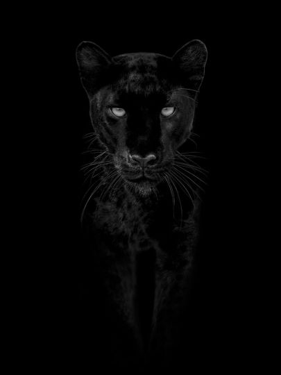 © Kyriakos Kaziras - From the book A by Kaziras Volume II - Courtesy Ramsay