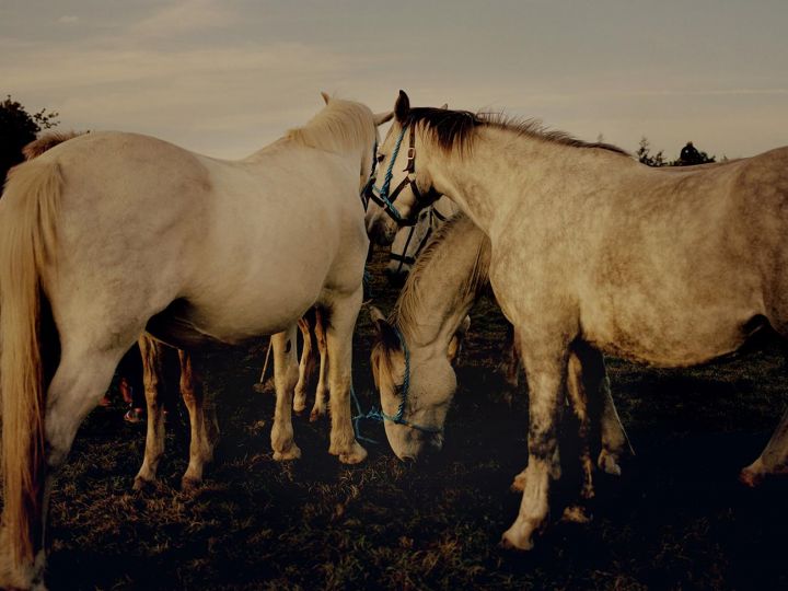 Last moments of the fair © Sam Wright - From the book Pillar to Post - Courtesy of GOST Books