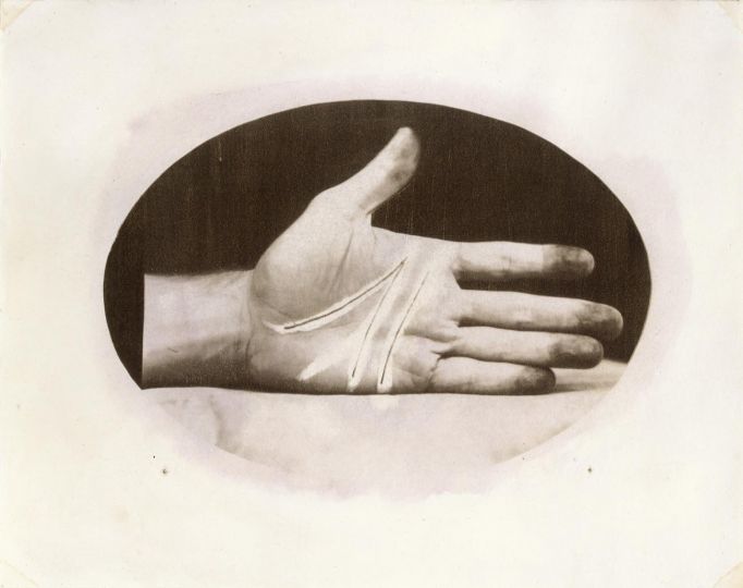 Liar's Palm © Dan Estabrook - From the book Forever & Never - Courtesy Artsuite