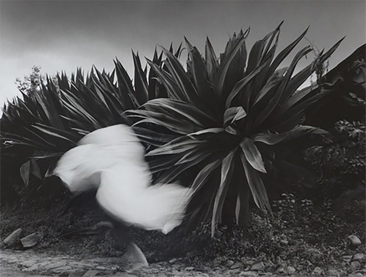 Appearance / Aparición, Mexico, 1990 © Flor Garduño - Courtesy Throckmorton Fine Art