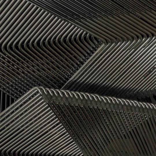 Chip © Bernd Sannwald - Courtesy Taunus Foto Gallery