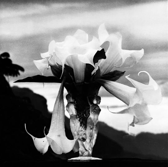 5 o'clock To You / Té de las 5, Mexico, 2015 © Flor Garduño - Courtesy Throckmorton Fine Art