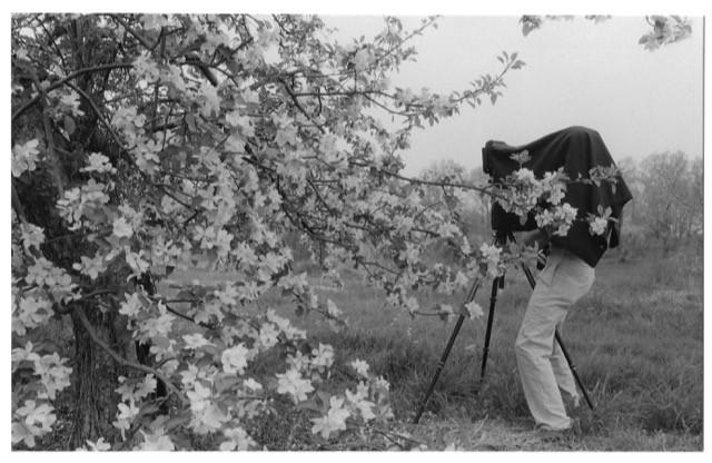 In Memoriam : George Tice (1938 – 2025)