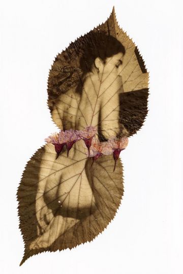 © Naoual Peleau