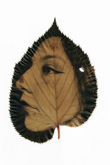 © Naoual Peleau