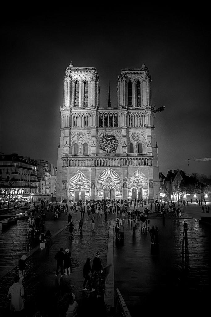 Danica O. Kus : Notre-Dame de Paris - Restaurée