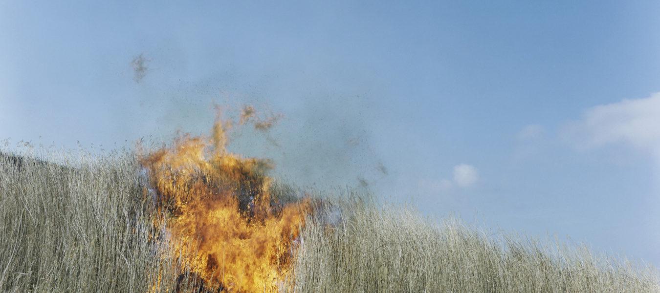 Arnolfini : Rinko Kawauchi : Aux confins du monde quotidien