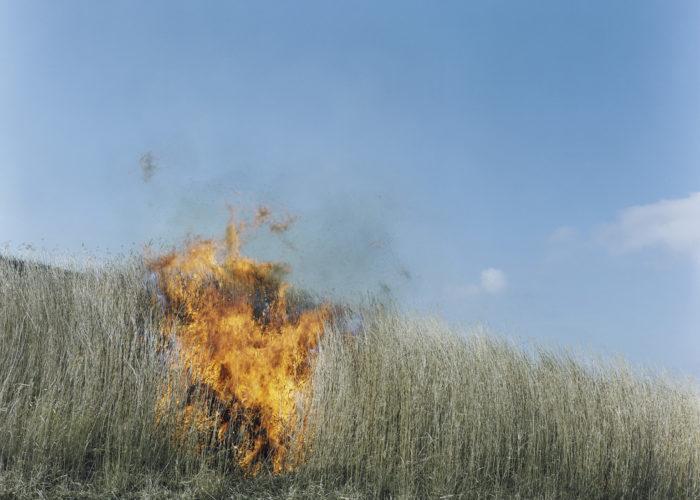 Arnolfini : Rinko Kawauchi : At the edge of the everyday world