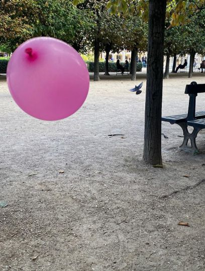 © Rosa Van den Ende - UPR 2023