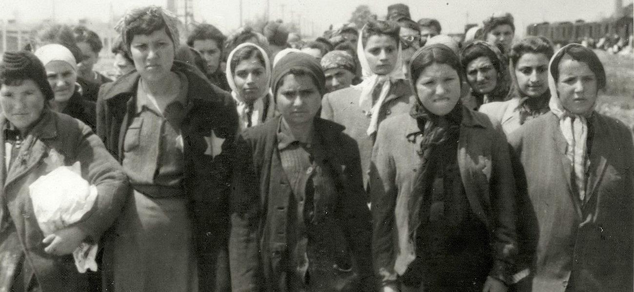 Mémorial de la Shoah : Comment les nazis ont photographié leurs crimes, Auschwitz 1944