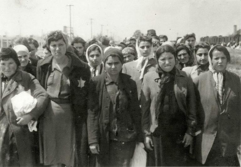 Mémorial de la Shoah : Comment les nazis ont photographié leurs crimes, Auschwitz 1944