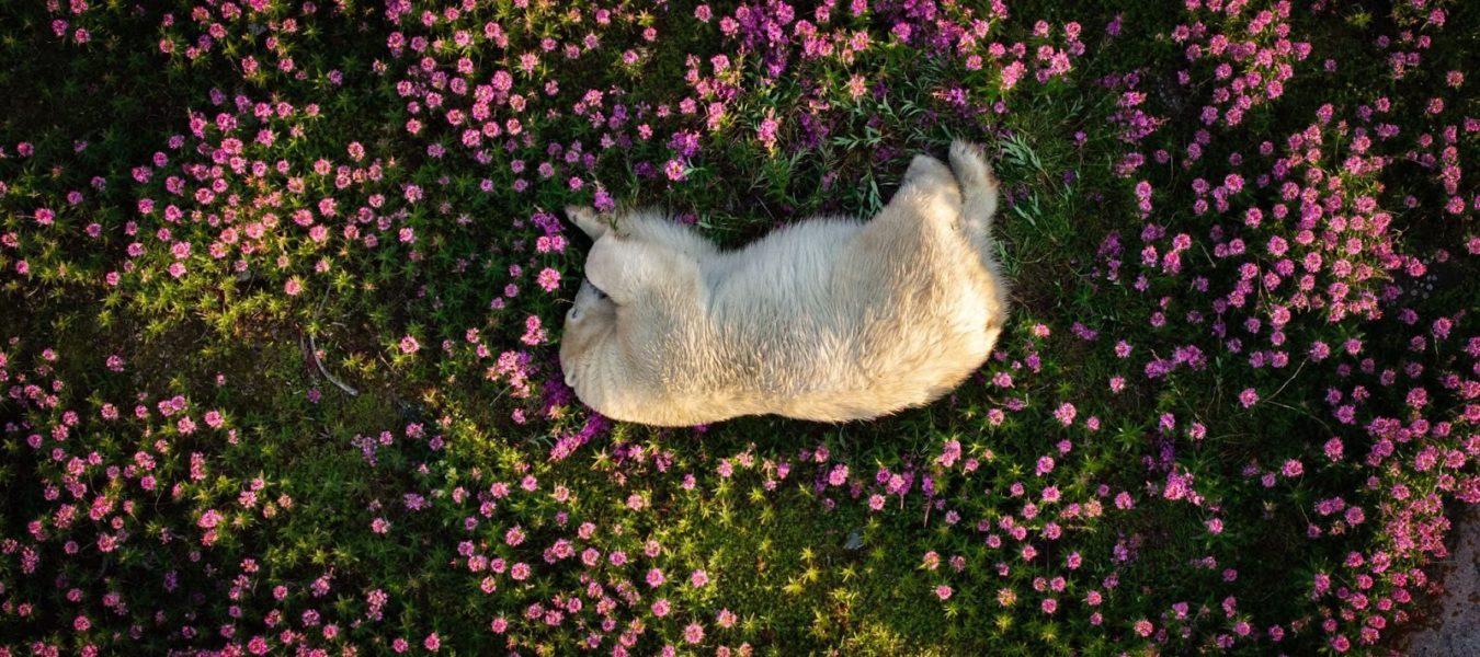 The Nature Photography Contest 2024 : Un hommage à la beauté et à la fragilité de notre planète