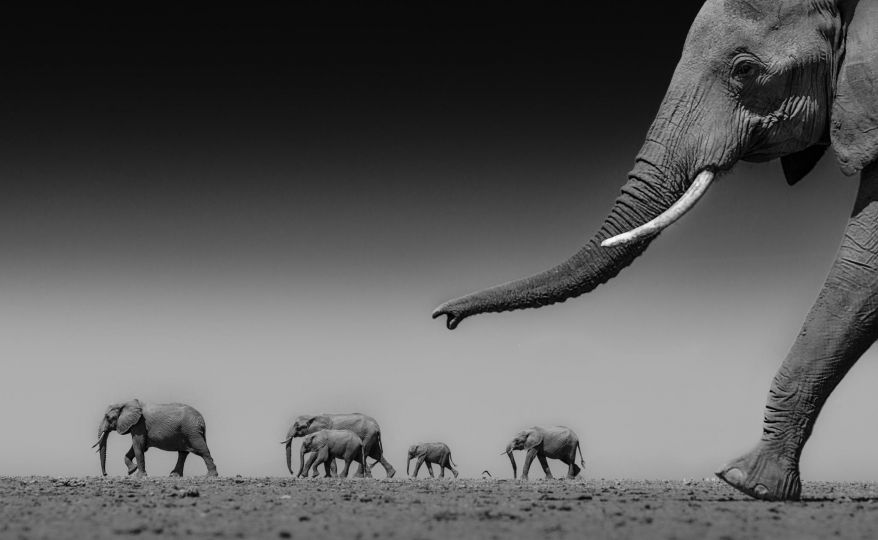 Ateeb Hussain, Sustainability, 2025 - 3rd Place Winner in the 'General - Black & White' category