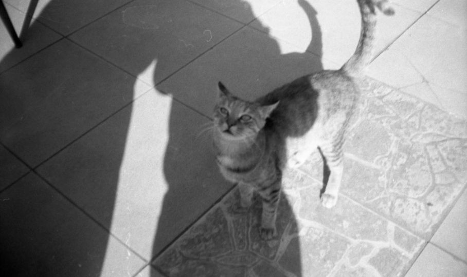 © Fotohane Darkroom
