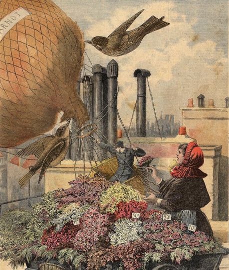 MrDjub, 2025. La révolte des zoziaux (24,5X29 cm) - Courtesy Galerie Roger-Viollet