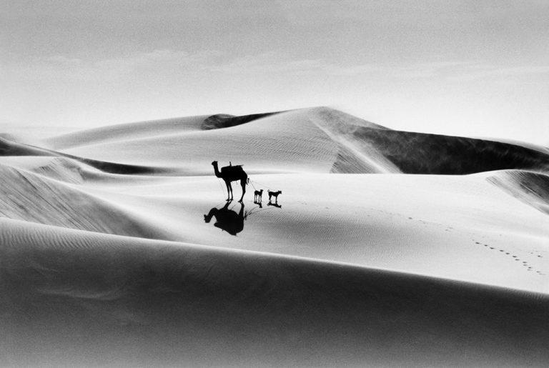 Archives : Arles 2025 : The Sandy Tribulations of Raymond Depardon