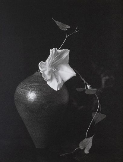 No. 28, Yugao, 2024 © Kenro Izu - Courtesy Howard Greenberg Gallery