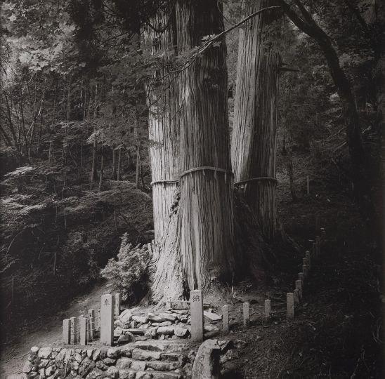 No. 34, Hanase, 2023 © Kenro Izu - Courtesy Howard Greenberg Gallery