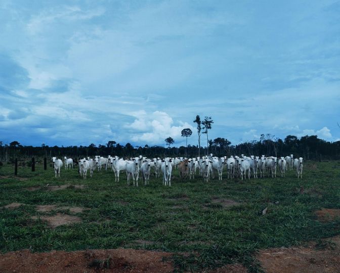 © Emilio Azevedo - Courtesy La Maison d’Auguste Comte