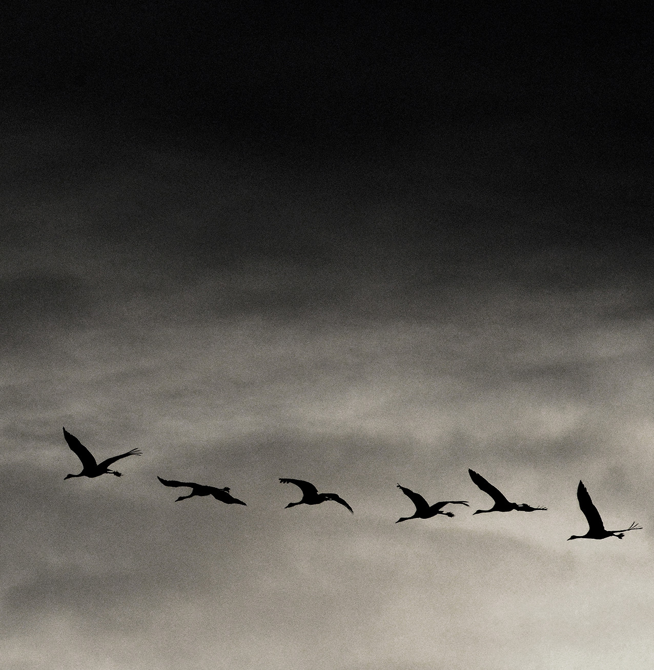 Michel Riehl - The Eye of Photography Magazine