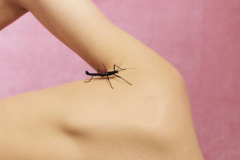 © Douce d'Ivry - Courtesy Galerie Hoang Belli