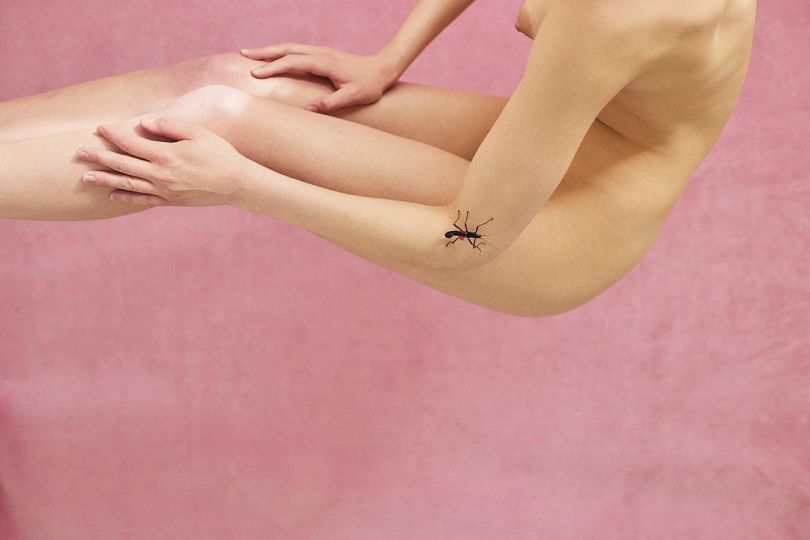 © Douce d'Ivry - Courtesy Galerie Hoang Belli