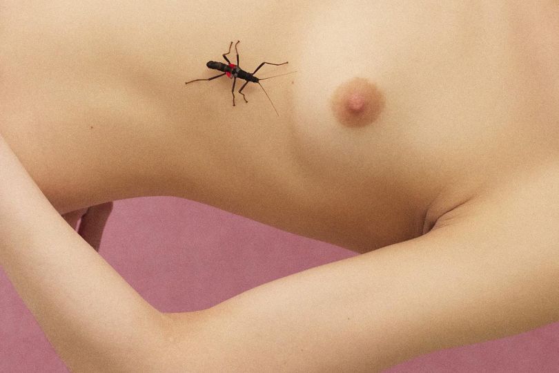 © Douce d'Ivry - Courtesy Galerie Hoang Belli