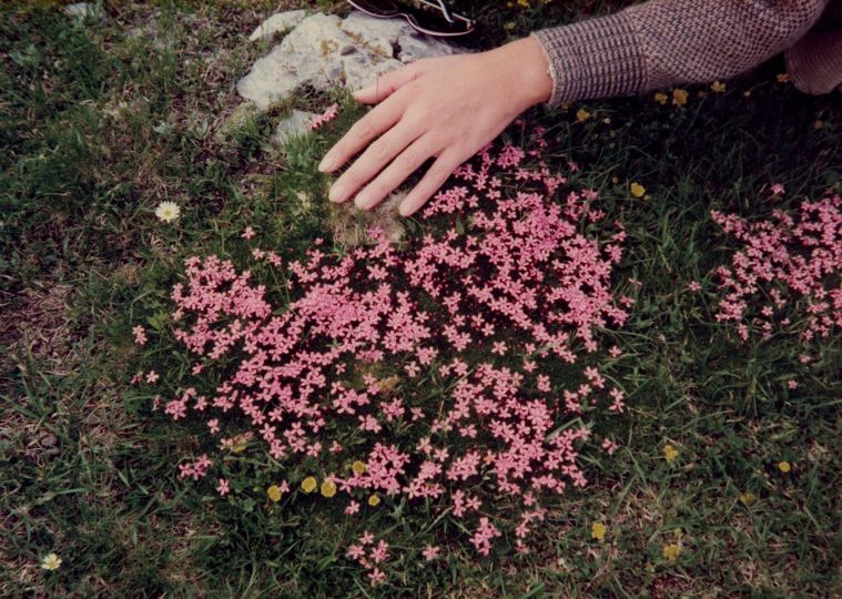 © Luigi Danieli - Courtesy Libraryman