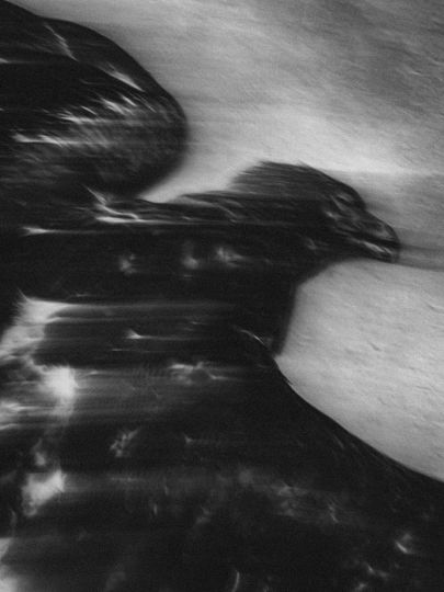 © Jaïr Marc Castillo - Courtesy Entry Gallery