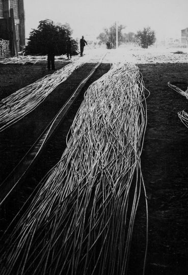 © Luigi Danieli - Courtesy Libraryman