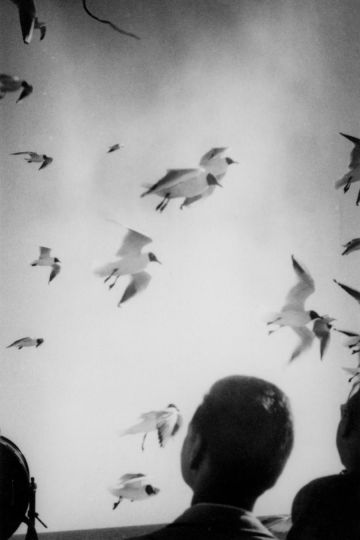 © Luigi Danieli - Courtesy Libraryman