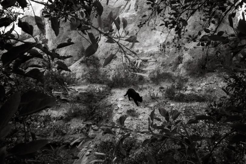© Nicole Duranceau