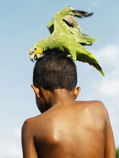 Gleeson Paulino, Faz de Conta, Make Believe, 2018 © Gleeson Paulino
