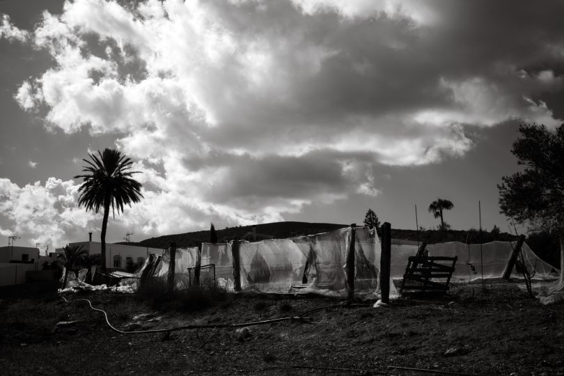 © Nicole Duranceau
