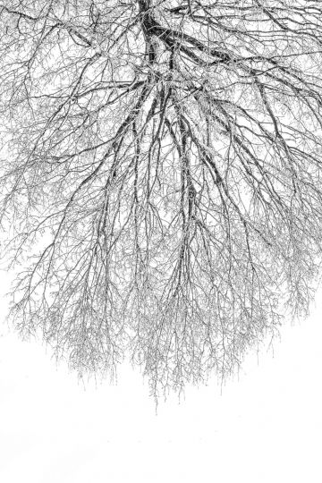 © Jean-François Urbain