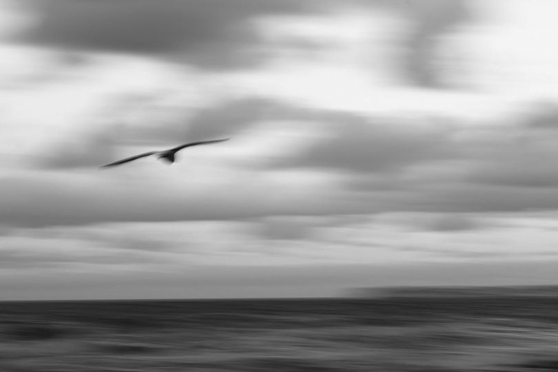 ÇA PLANE POUR MOI - 2022 © Cédric Fontaine