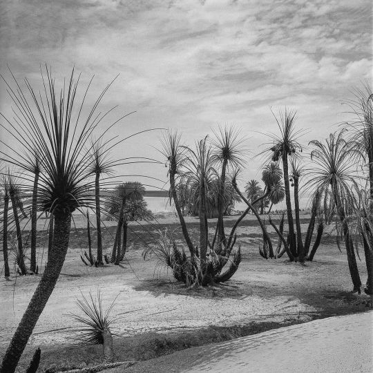 Javier Silva Meinel, Convento de lanchas, 2002 © Javier Silva Meinel / Galerie Younique